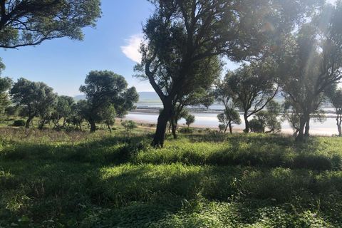 Terra a Barbate, Cadiz, Barbate - € 480.000 | Ref: vc 191 - foto 24